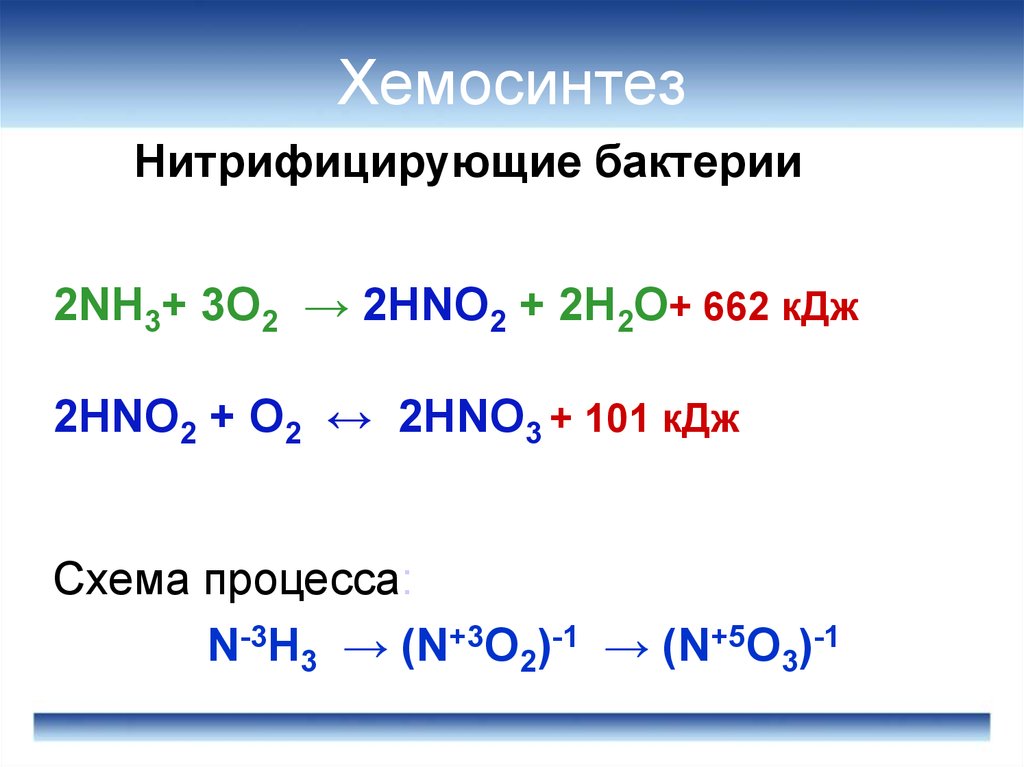 Хемосинтезирующие бактерии характеризуются. Водородные бактерии хемосинтетики. Серобактерии хемосинтез. Железобактерии реакции хемосинтеза. Уравнение реакций хемосинтеза 10 класс.