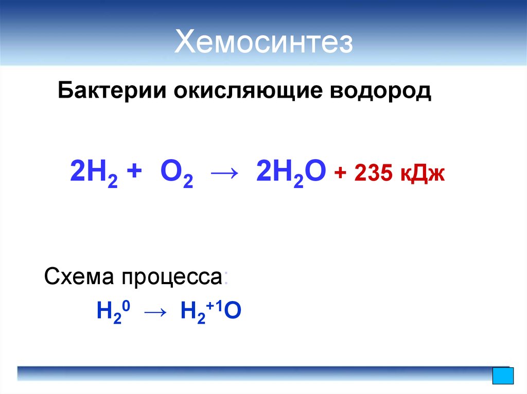 Хемосинтез реакции