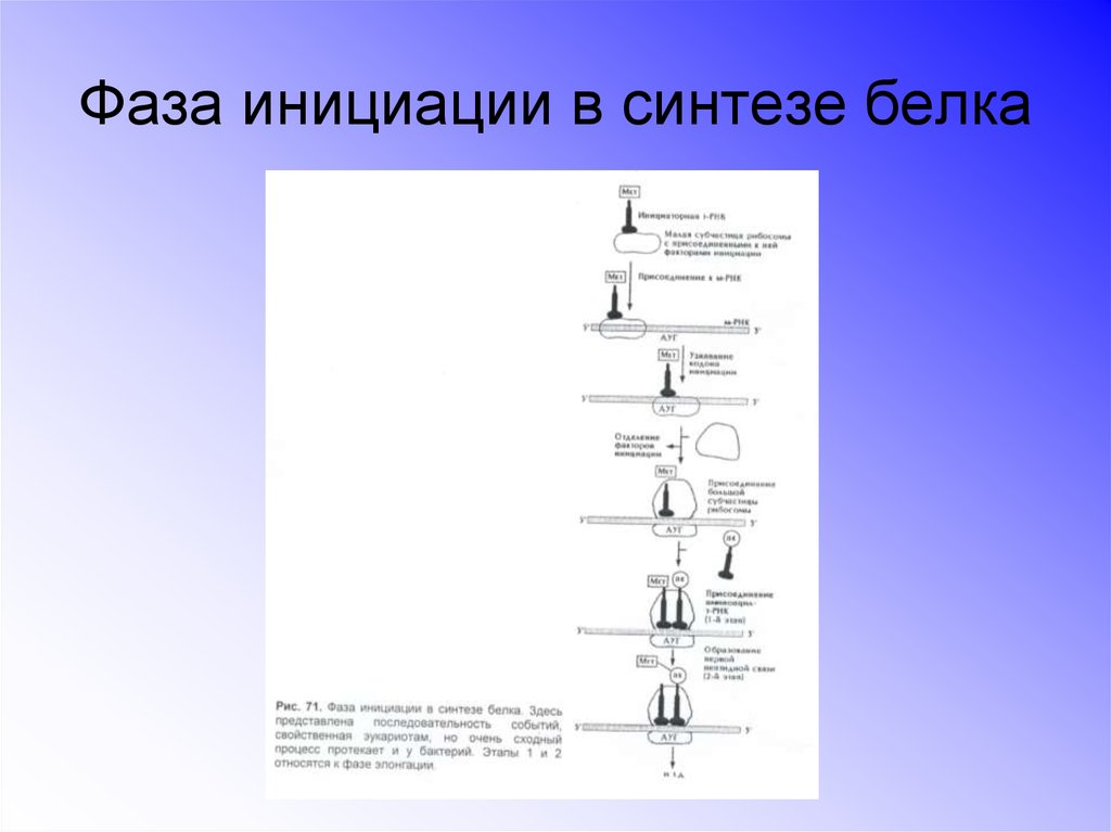 Результатом процесса инициации проекта является