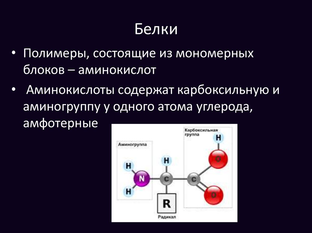 Полимерами белков являются. Мономерные и полимерные белки. Мономерные белки. Полимер белка. Белки полимеры.