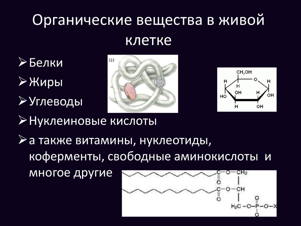 Органические вещества попадая