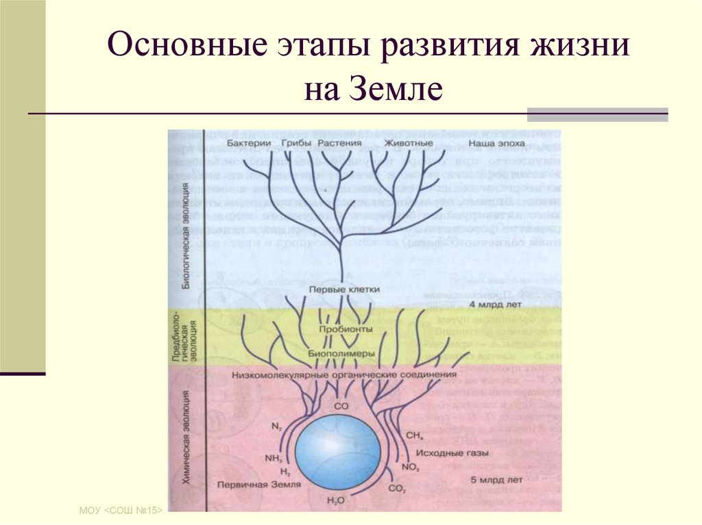 Этапы развития жизни на земле картинки