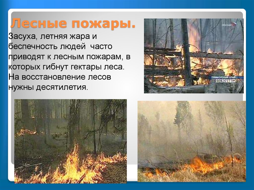 Лесной пожар задачи. Опасность лесных пожаров. Лестный пожоры я вление. Природные явления пожар. Опасность пожара в лесу.