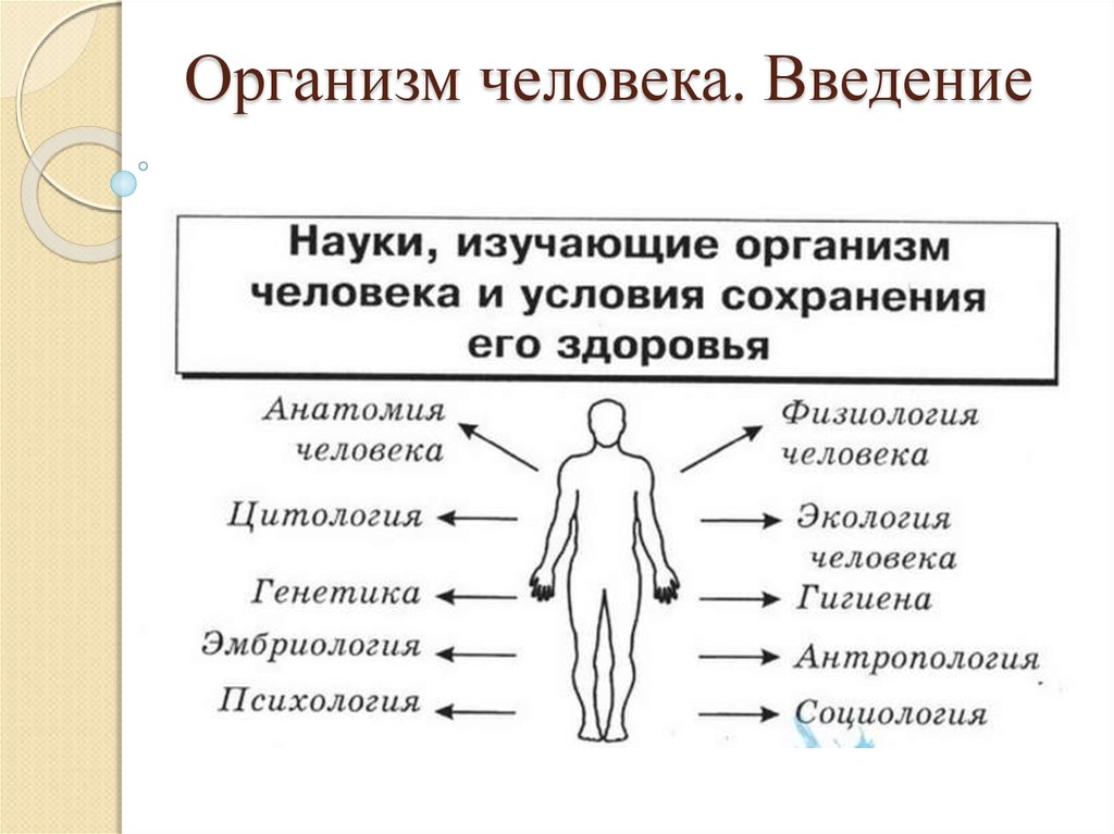 Тело управляет человеком. Введение в тела человека. Науки изучающие организм человека. Внедрение в организм человека. Качества тела человека.