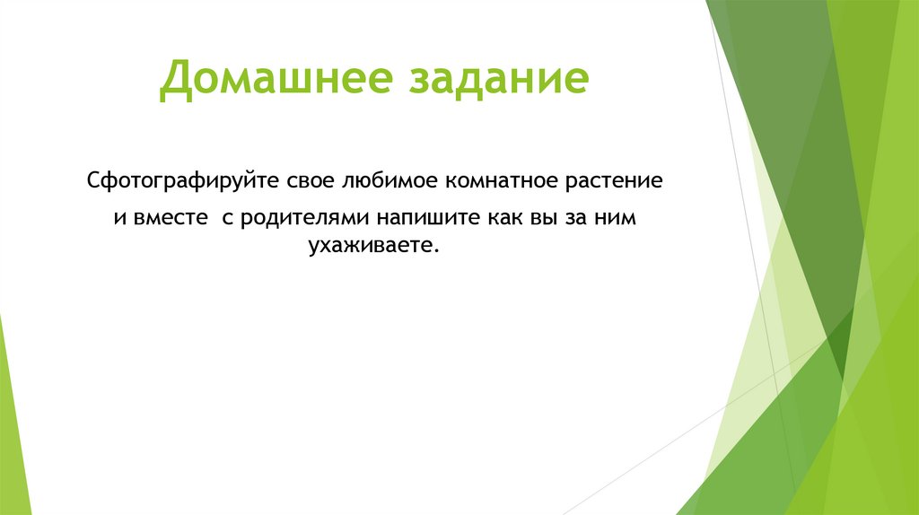 Домашнее задание