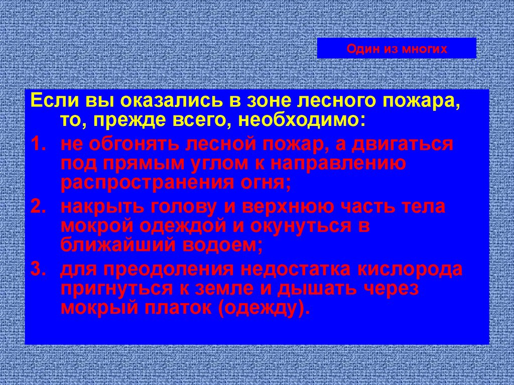 Эпидемии эпизоотии и эпифитотии презентация 7 класс обж