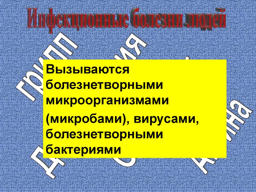 Эпидемии эпизоотии и эпифитотии презентация 7 класс обж