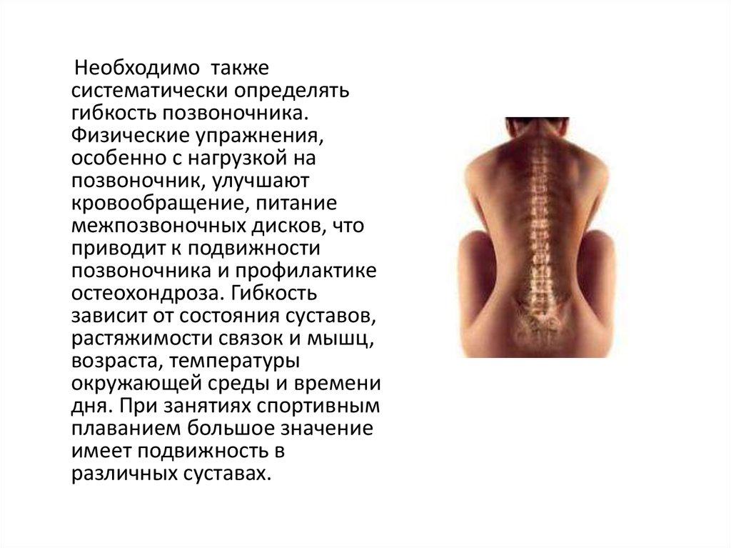 Анатомо физиологические основы мышечной деятельности презентация