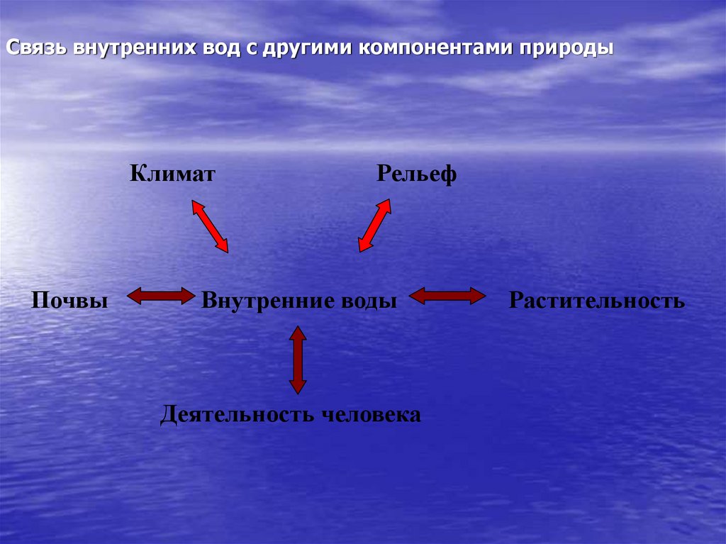 Водные связи. Связь внутренних вод с другими компонентами природы. Взаимосвязь внутренних вод с компонентами природы.. Взаимосвязь внутренних вод с другими компонентами. Внутренние воды.