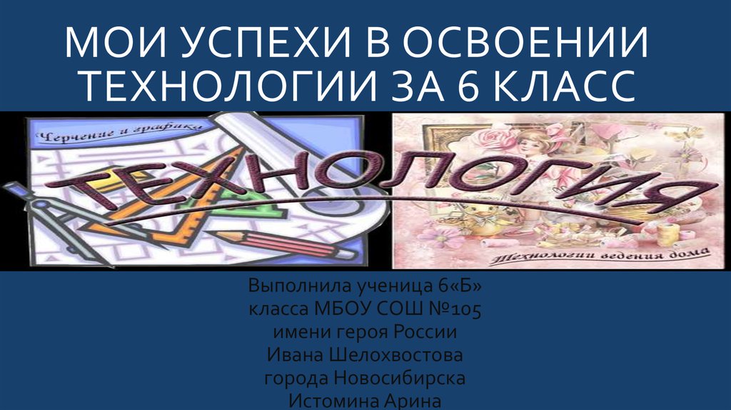 Мои успехи. Мои успехи в освоении технологии. Мои успехи в освоении технологии 6 класс. Портфолио по технологии 6 класс. Технология Мои успехи в освоении технологии.