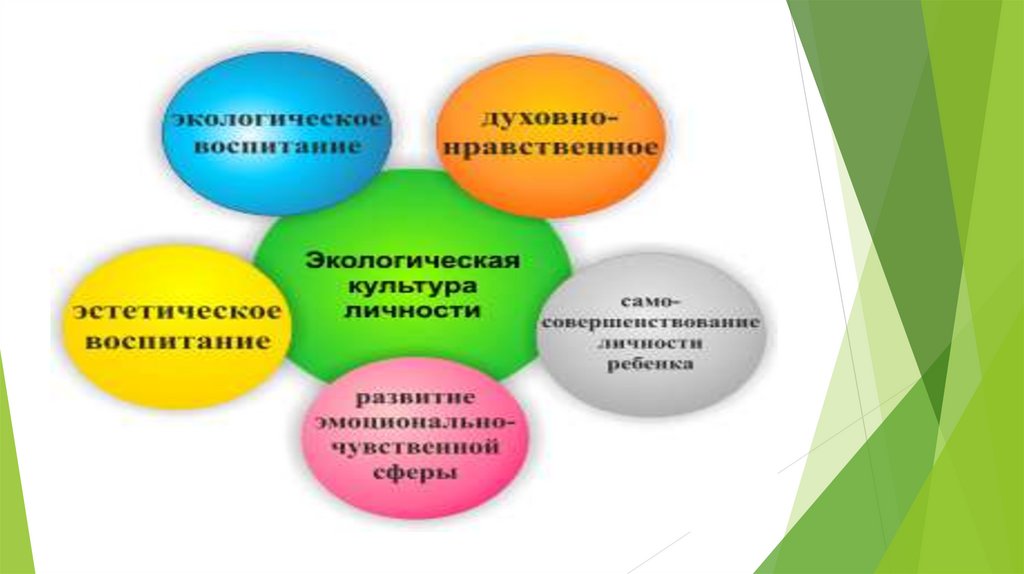 Что такое нравственная экология. Экологическое образование. Нравственная экология это.