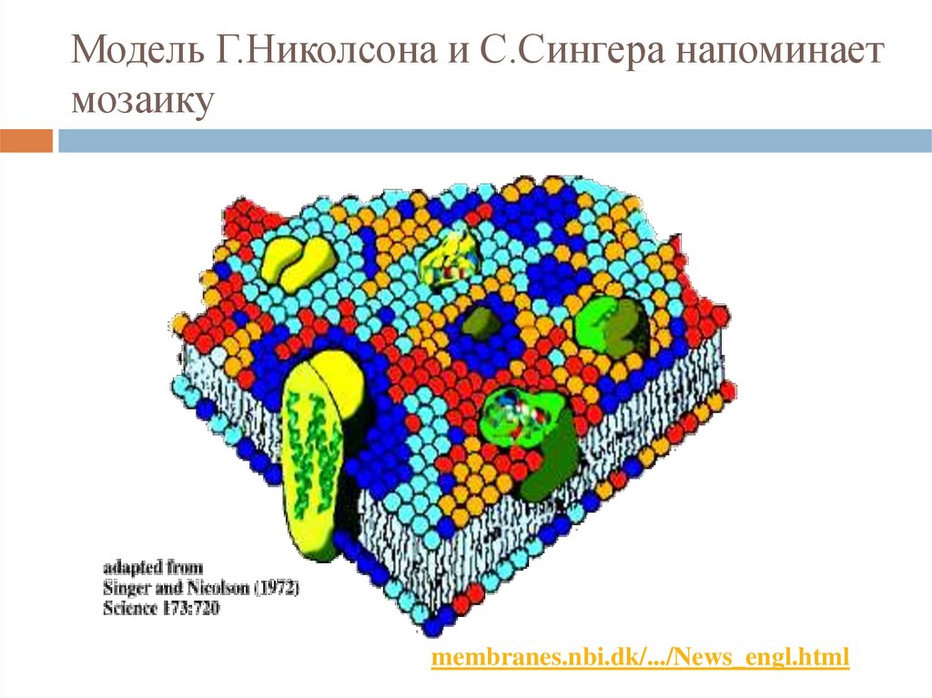 Схема кранка николсона