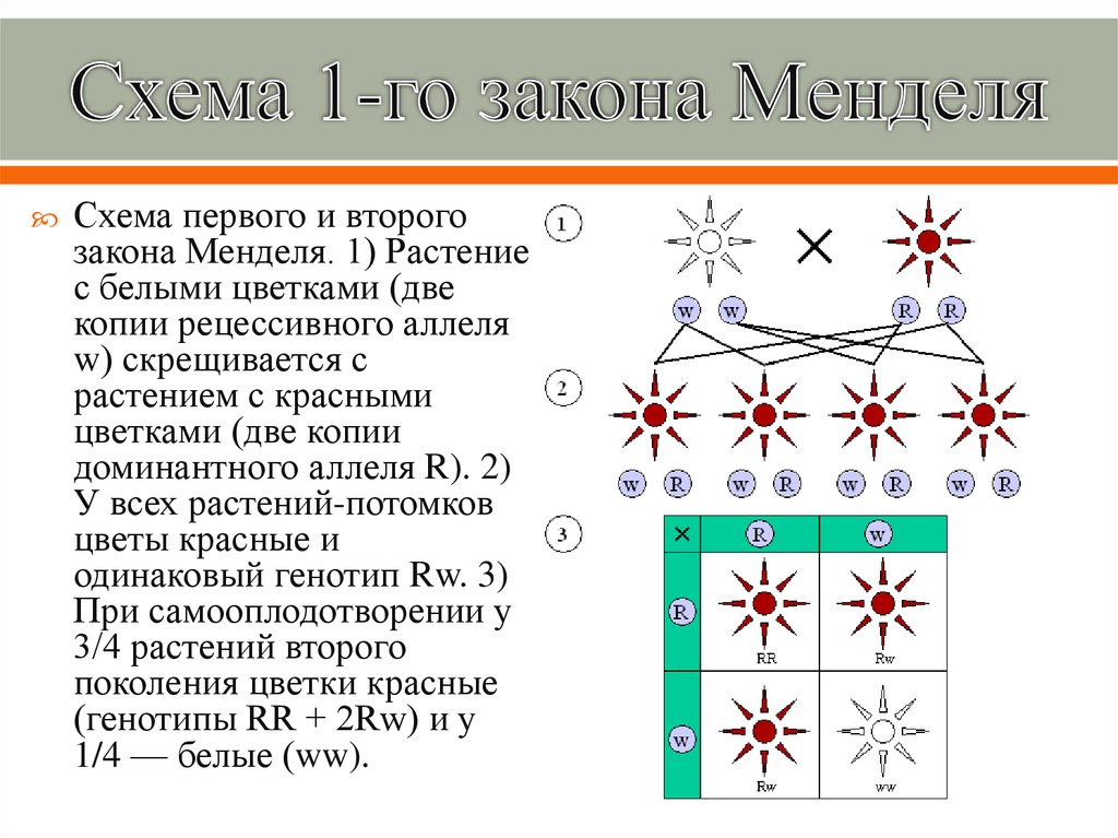 Закон частоты