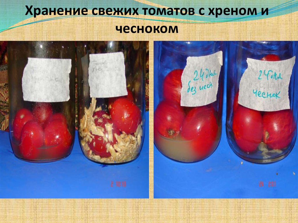 Влияние фитонцидов на сохранность пищевых продуктов проект