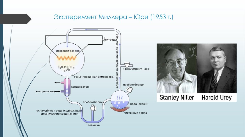 Суть эксперимента миллера. Опыты Миллера и Юри (1953). Стэнли Миллер и Гарольд Юри в 1953 году. Стэнли Миллер и Гарольд Юри опыт. Эксперимент Юри – Миллера (1953 г.) продемонстрировал.