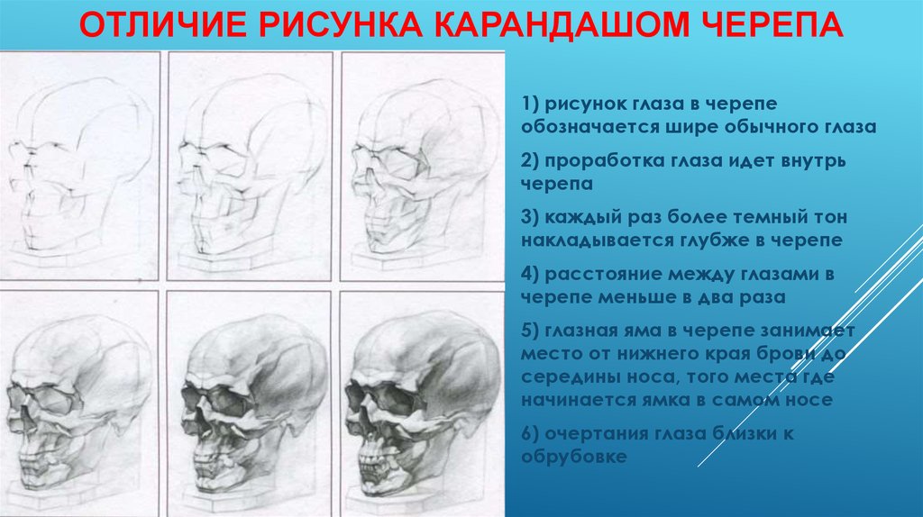 Чем академический рисунок отличается от обычного