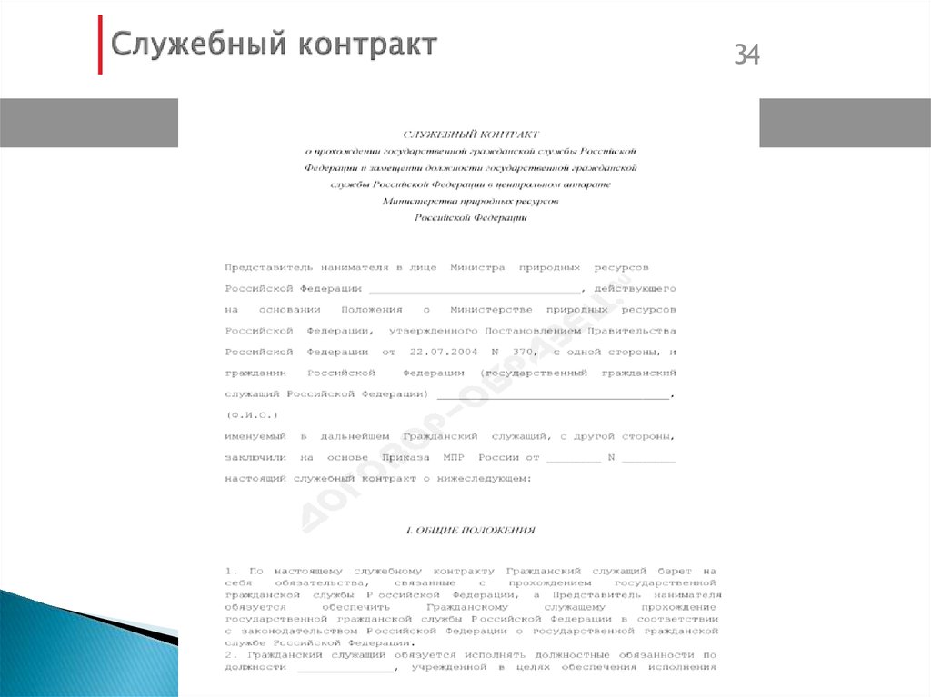 Служебный контракт о прохождении государственной гражданской службы образец