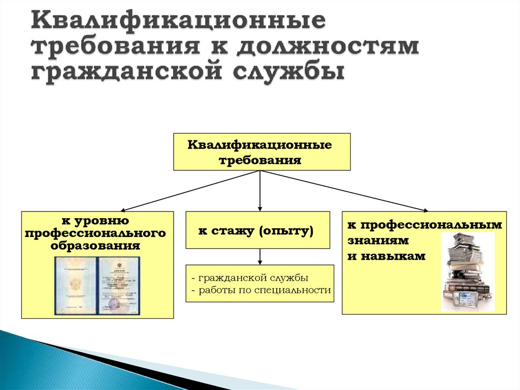 Требования к должностям гражданской службы