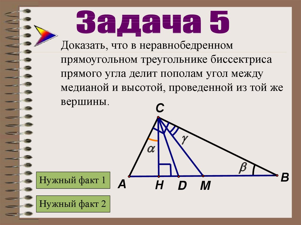 Теорема пифагора медиана. Медиана и биссектриса в прямоугольном треугольнике. Прямоугольный треугольник Медиана биссектриса и высота. Медиана биссектриса и высота треугольника. Угол между медианой и высотой.