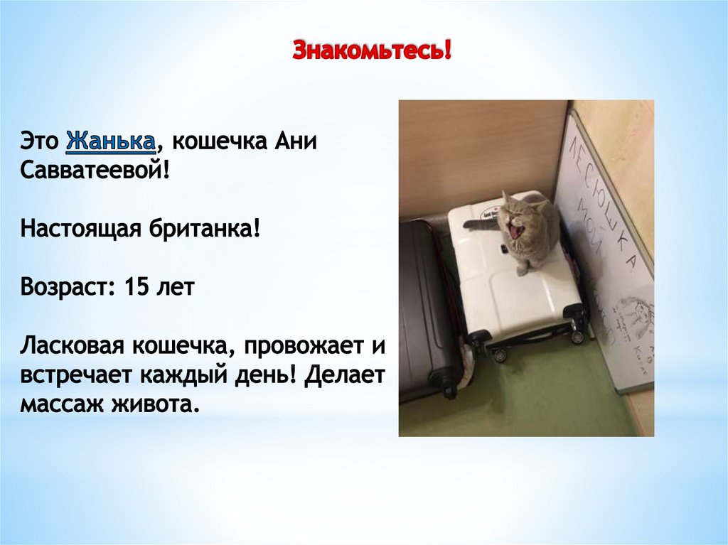 Знакомьтесь!