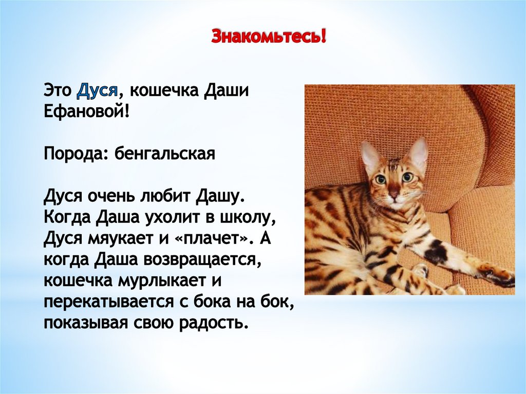 Знакомьтесь!