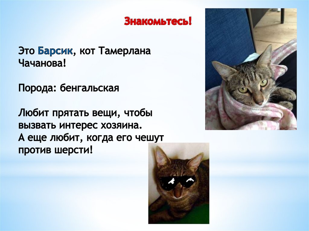 Знакомьтесь!