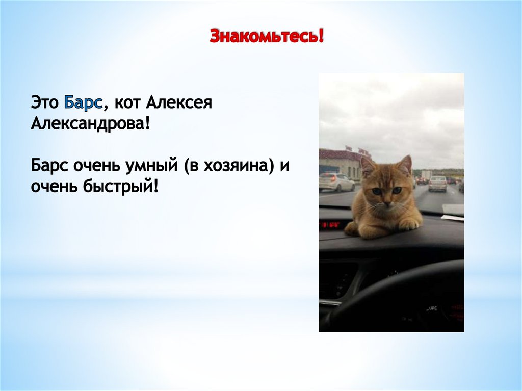 Знакомьтесь!