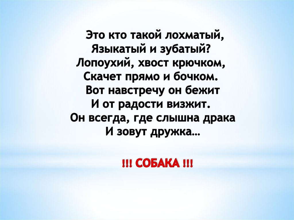 !!! СОБАКА !!!