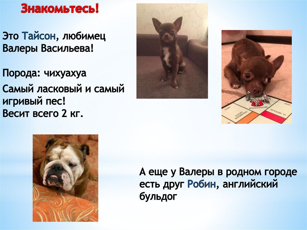 Знакомьтесь!