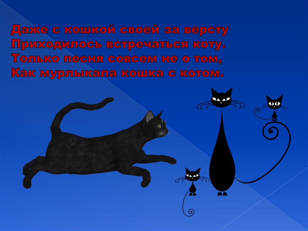 Черный кот песня mp3. Слово кот. Чёрный кот песня. Черный кот текст. Танич м. "черный кот".