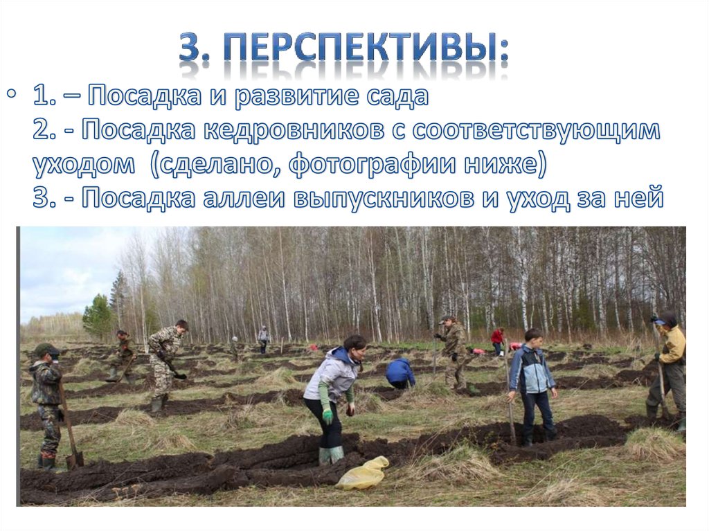 3. Перспективы: