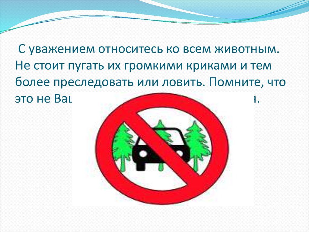 Приследовать или преследовать и почему. -С уважением относитесь ко всем животным!.