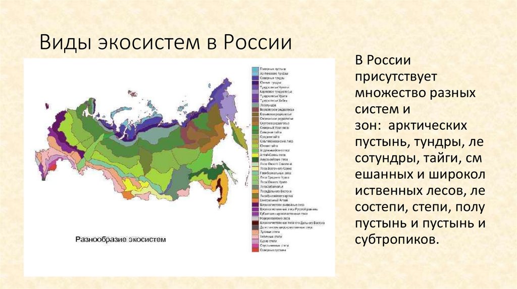 Виды экосистем в России