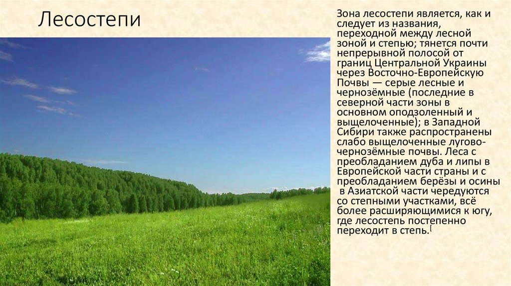 Лесная зона занимает большую часть климатического. Зона лесостепи климат. Зоны степей и лесостепей России. Природной растительности лесостепи. Презентация лесостепь России.