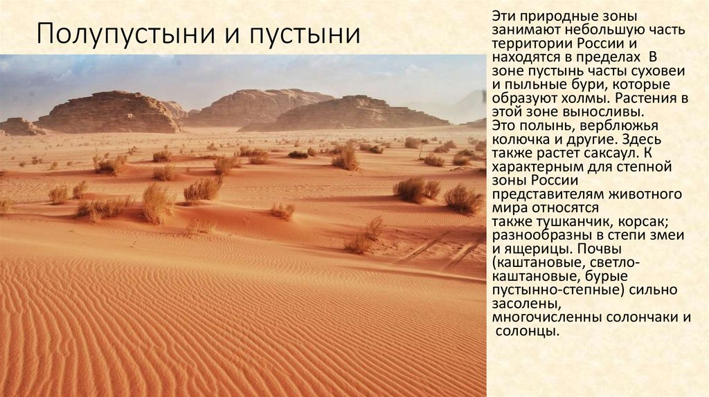 Характеристика полупустыни по плану