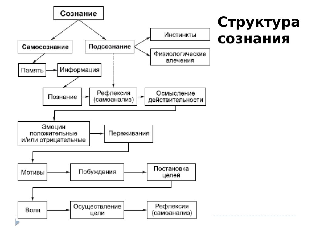 Схема характеристики сознания человека