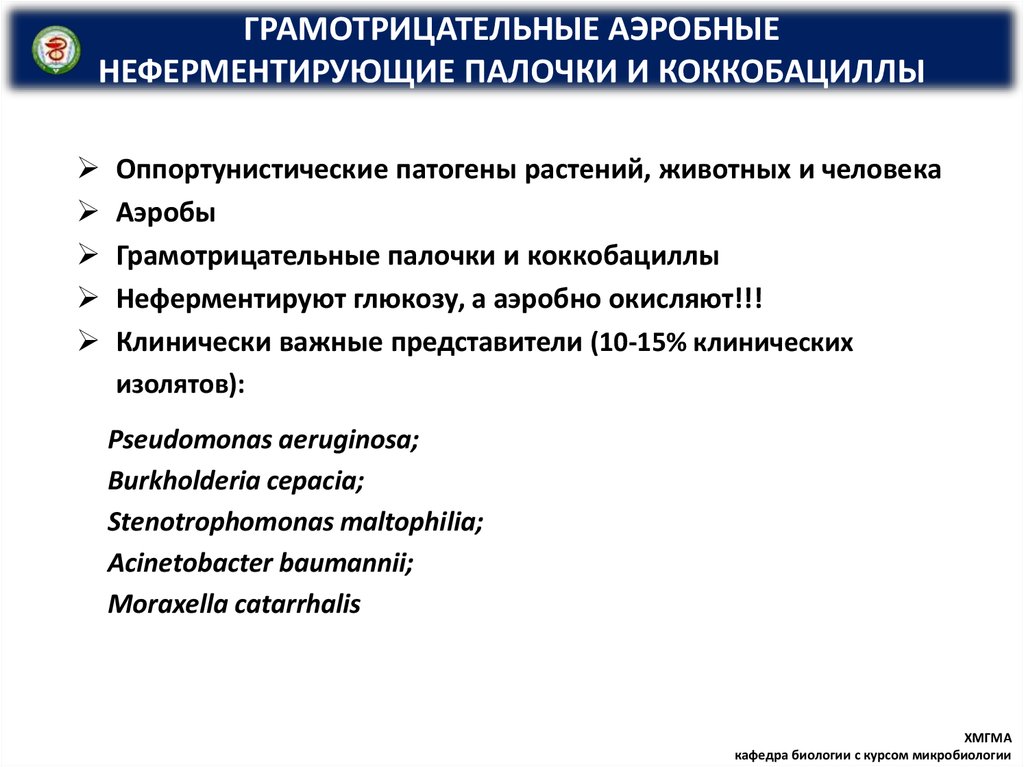 Может ли оппортунистическое управление использоваться при управлении проектами