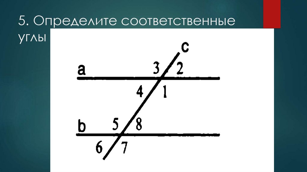 Соответственные углы картинка