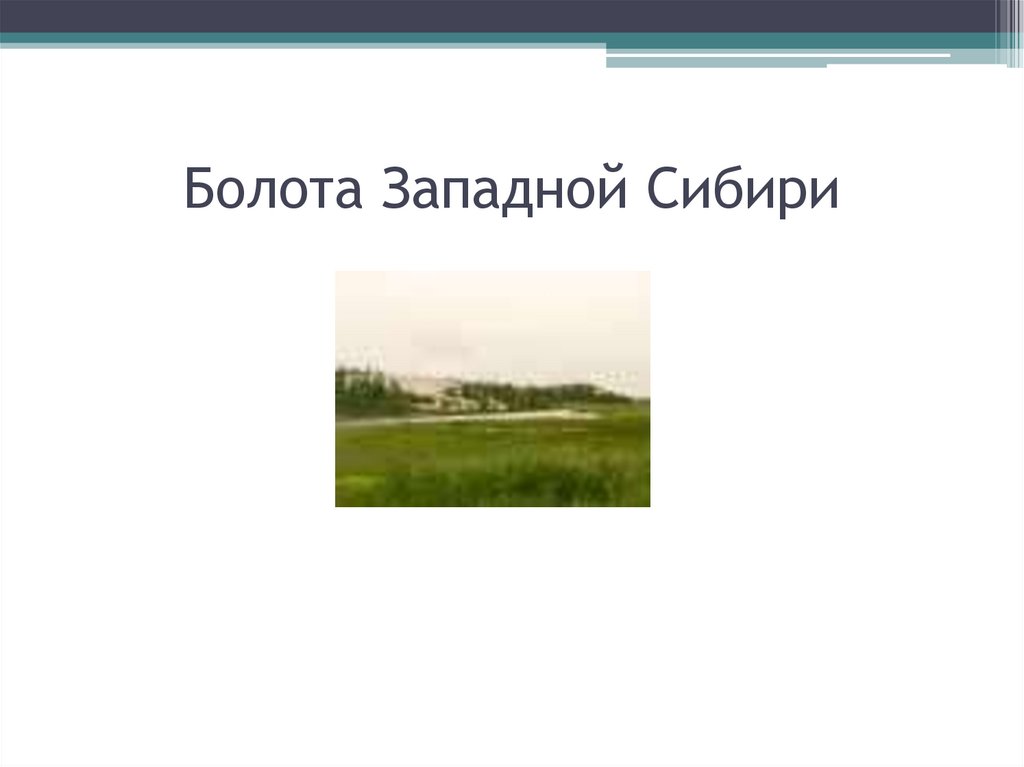 Западно сибирская равнина возраст. Типы болот Западной Сибири.