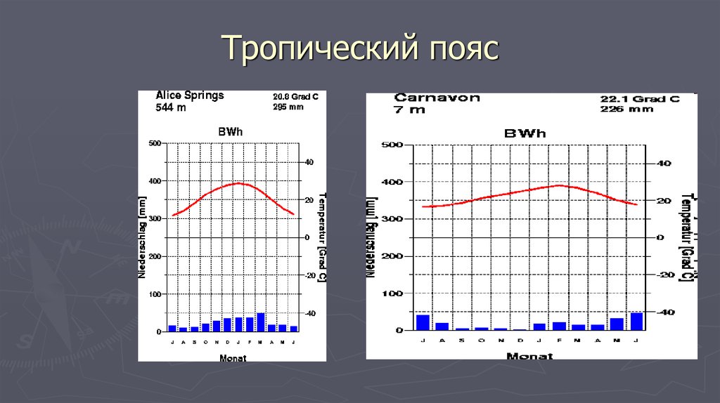 Тропическая диаграмма. Климатограмма тропического пояса Австралии. Климатограммы тропического климата. Тропический пустынный климат климатограмма. Климатическая диаграмма тропического пояса.