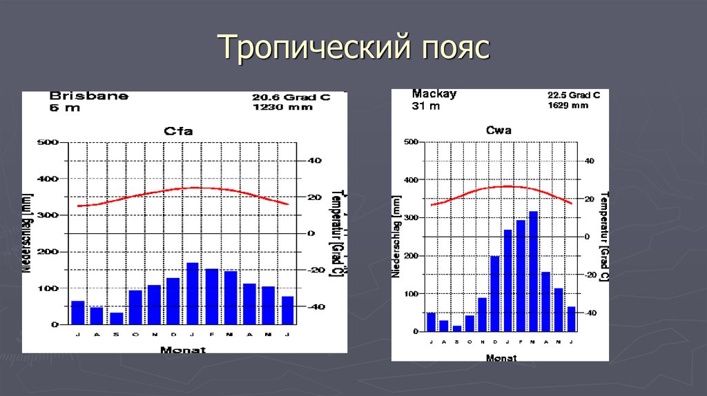 Климатическая диаграмма тропического засушливого