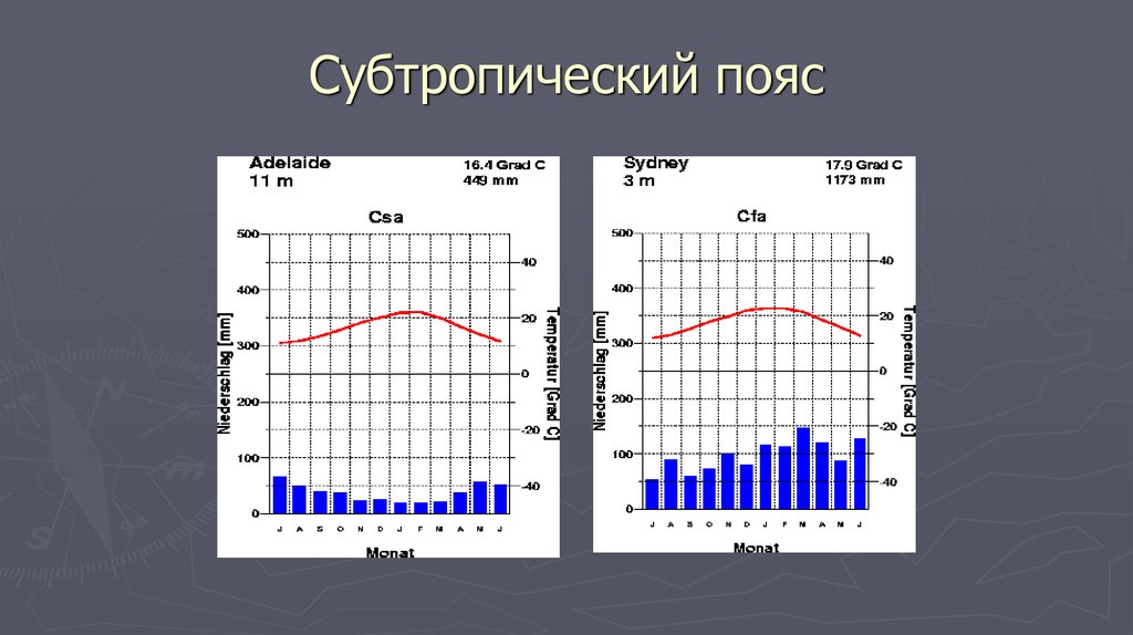 Диаграммы климатических поясов. Климатограммы субтропического пояса. Климатограмма тропического климатического пояса. Климатограммы субтропического климата. Субтропический пояс климаторраса.