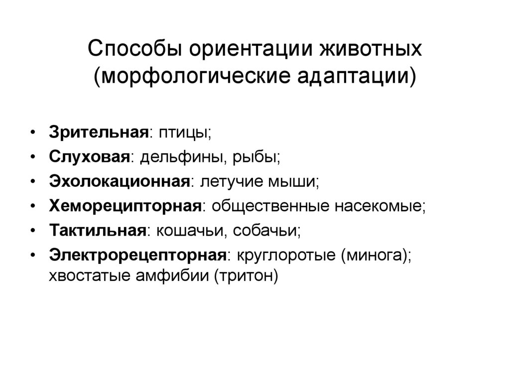 3 типа ориентации. Ориентация животных в окружающей среде. RFR ;bdjnyst jhbtynbhe.NCZ D Ghjcnhfycndt. Ориентация животных в пространстве доклад. Как животные ориентируются в окружающей среде.