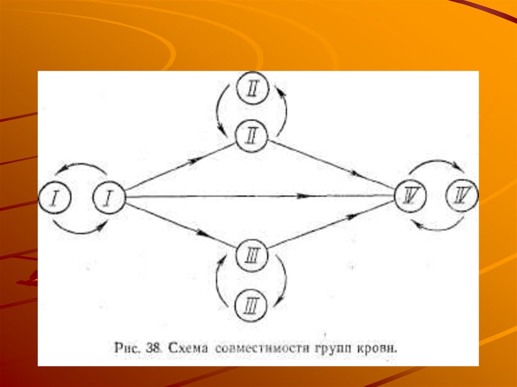 Схема переливания крови 8 класс биология учебник