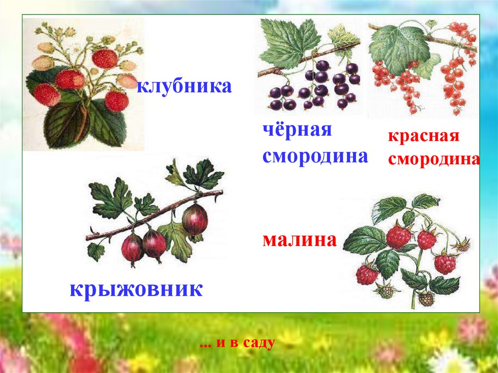 Презентация по 1 класс изо урок любования