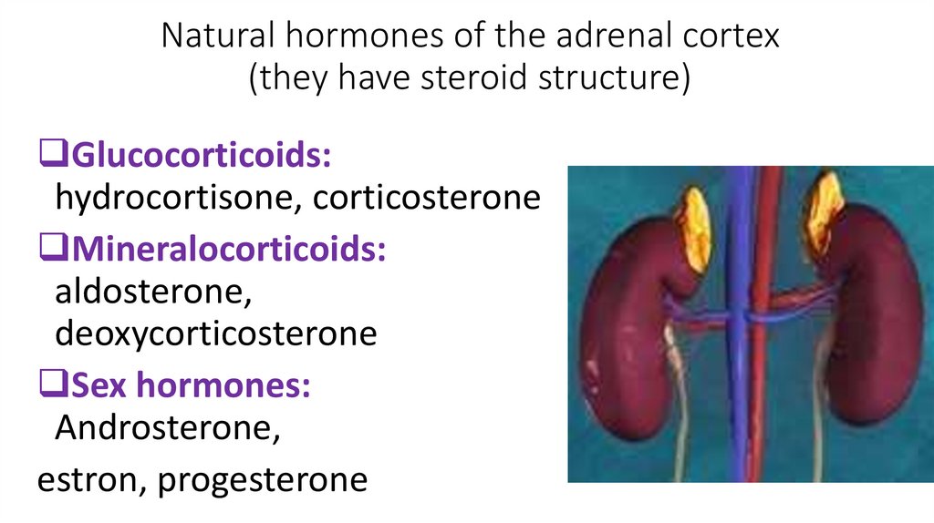 Natural hormones of the adrenal cortex (they have steroid structure)