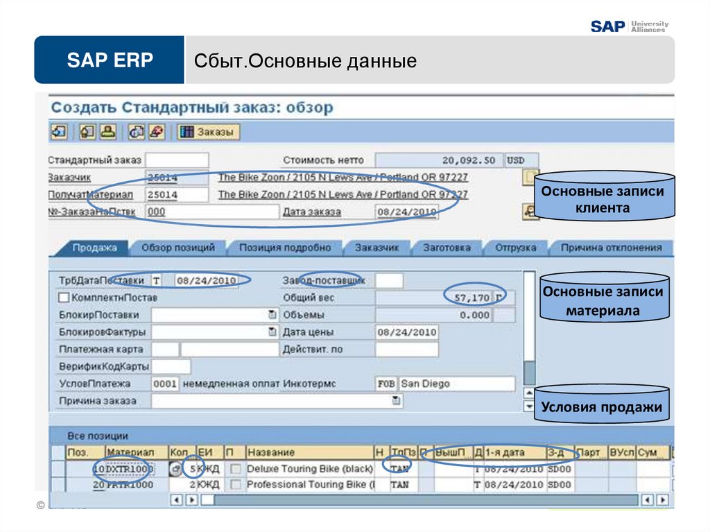 Основные данные. Программа SAP ERP. Основные данные клиента. Платежи SAP. Номер SAP что это.