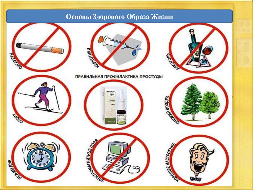 Медицинские основы здорового образа жизни