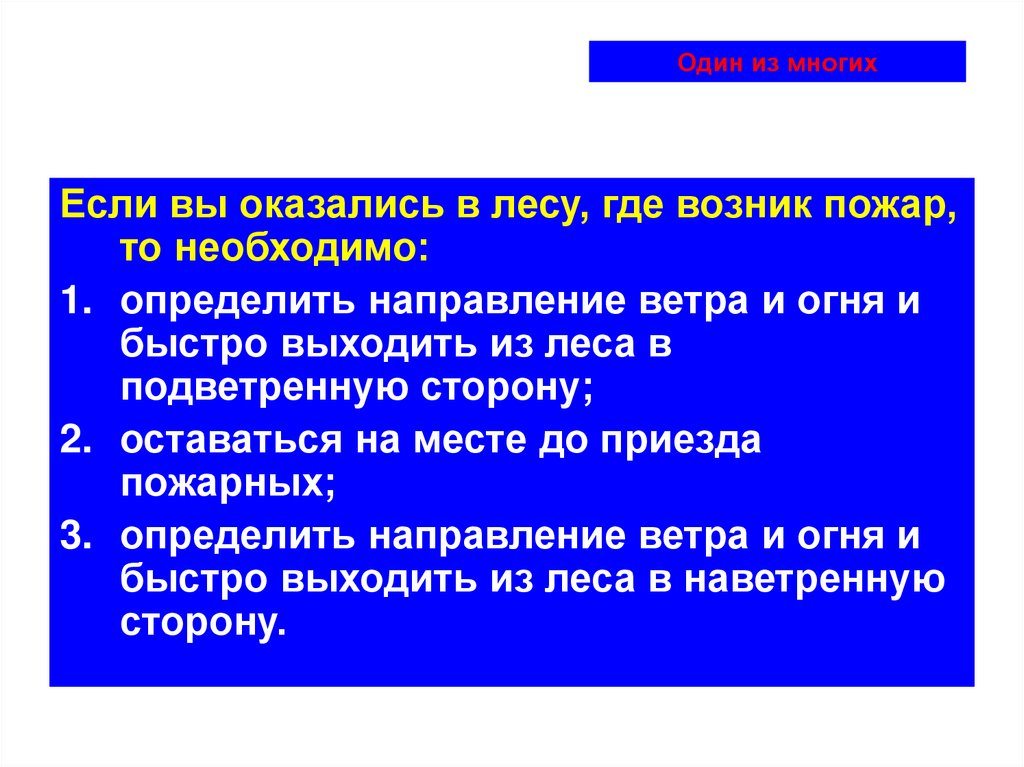 Где возник. Если вы оказались в лесу где возник пожар то необходимо. Направление выходить из леса где возник пожар. Что необходимо делать если вы оказались в лесу где возник пожар. Если вы оказались в лесу где возник.