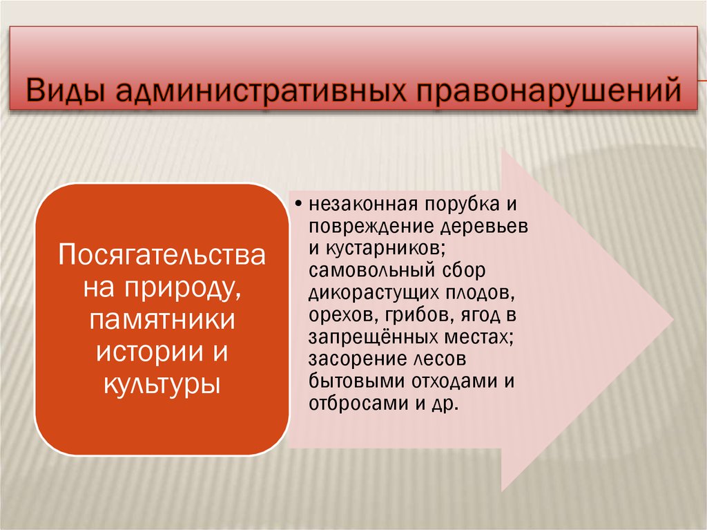 Административные правонарушения презентация 9 класс обществознание боголюбов